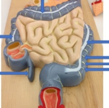 <p><span style="background-color: transparent;">name the parts</span></p>