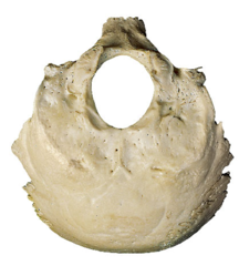 <p>What structure is this?</p>