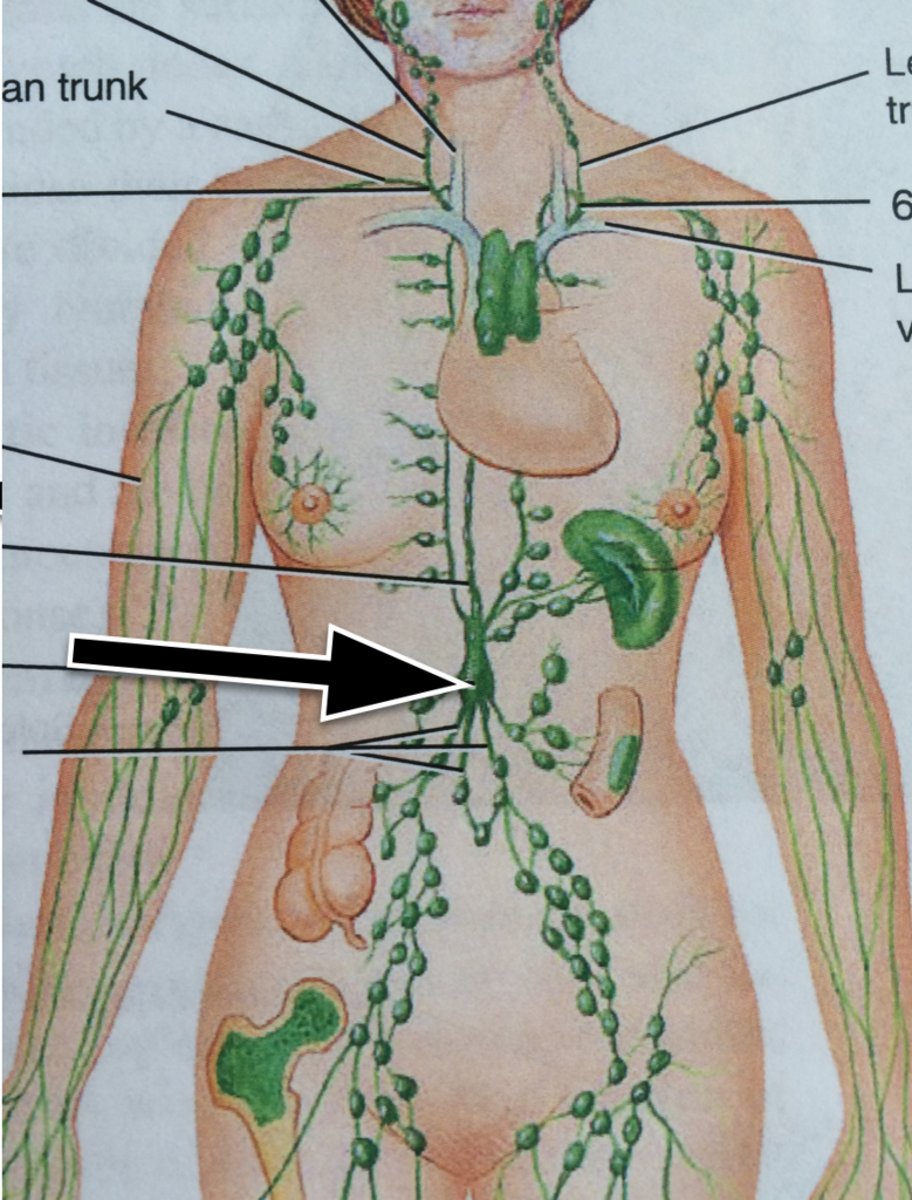<p>What is this?</p>