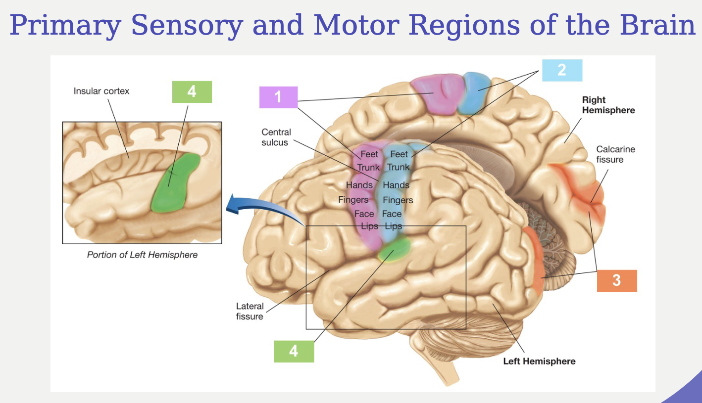 <p>Label this diagram</p>