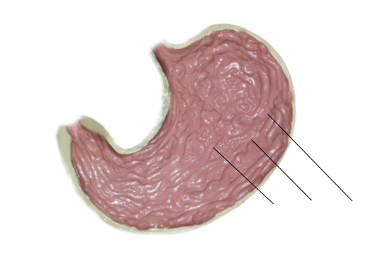 <p><span>Name the structure</span></p>