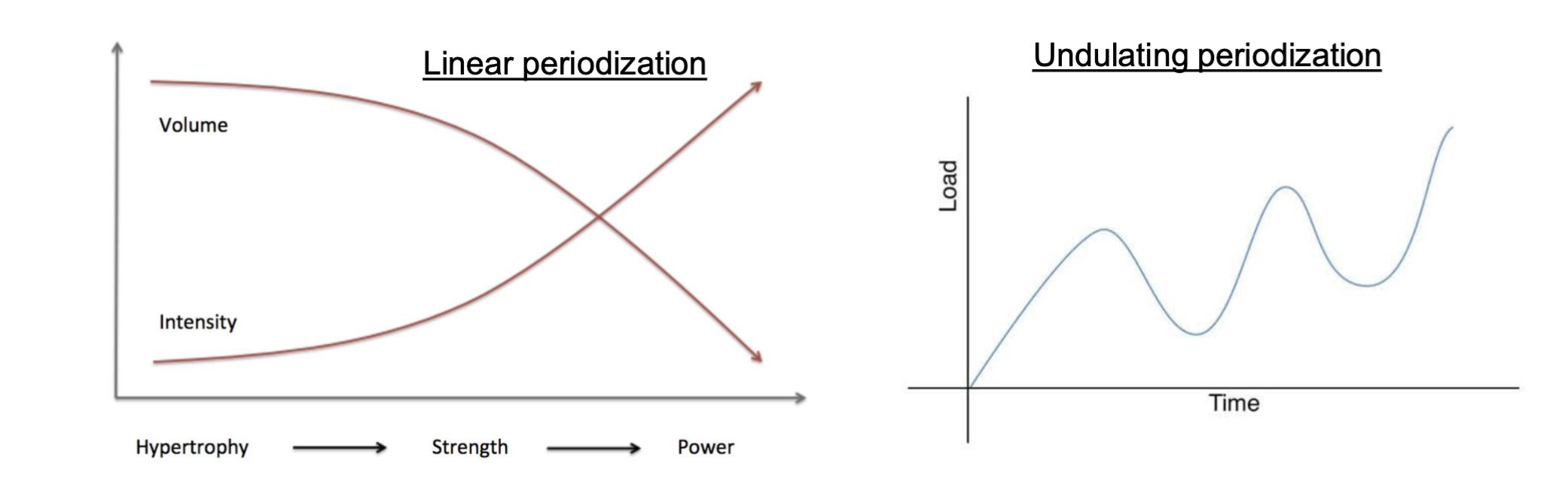 <ul><li><p>Linear: Gradually increases intensity while decreasing volume over time (hypertrophy → strength → power).</p></li><li><p>Undulating: Frequently varies volume and intensity within short periods (e.g., weekly), training multiple qualities.</p></li><li><p>Block: Focuses on one training quality per mesocycle (e.g., strength or hypertrophy).</p></li></ul><p></p>