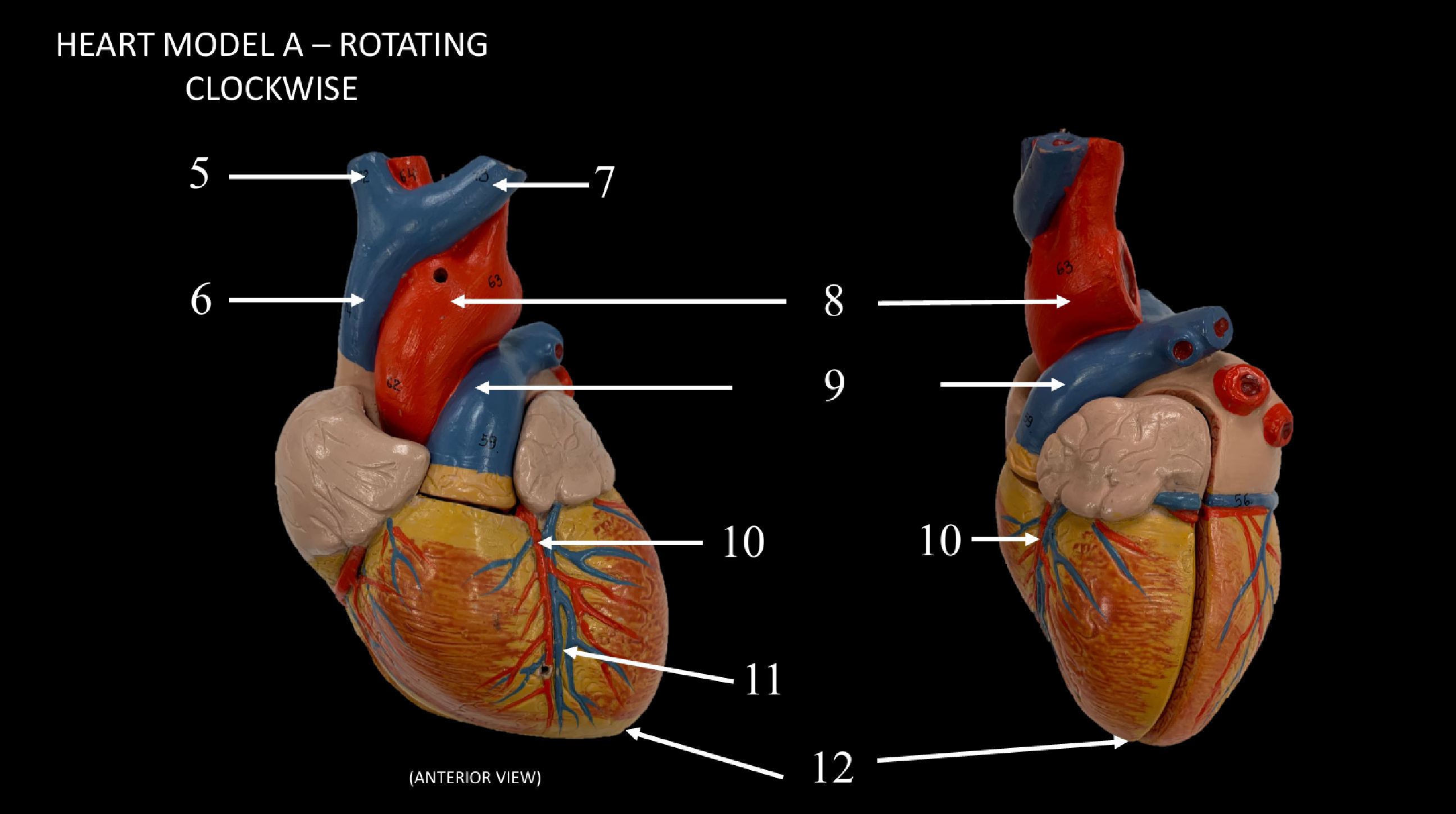 <p>WHAT IS 10 CALLED?</p>