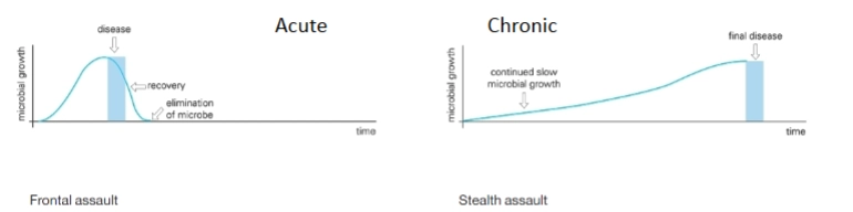 <ol><li><p>Frontal attack strategy = confront immune system → often causing acute infection: multiply as fast as possible and spread rapidly</p></li></ol><p>→ a lot of damage! For example: Vibrio cholerae</p><p></p><ol start="2"><li><p>Stealth attack strategy = hide from immune system → often causing chronic or persistent infection: staying in the host for a long time</p></li></ol><p>→ causing little damage For example: Helicobacter pylori</p><p></p>