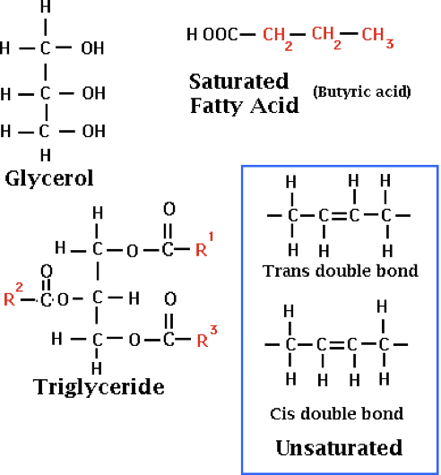 <p>Long Chains of C-H Bonds (CH bonds are non-polar)</p>