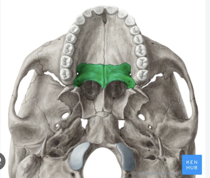 knowt flashcard image