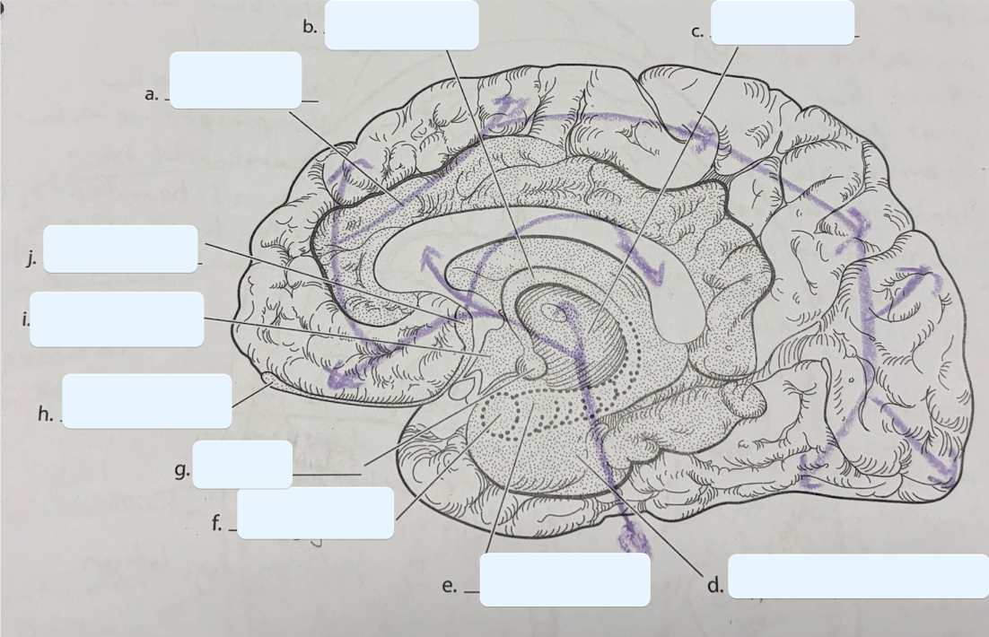 <p>Structure F</p>