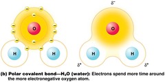 <p>unequal sharing of electrons (ex: H2O)</p>