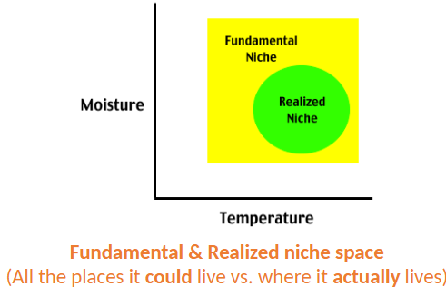 <p>ecological space an organism occupies and the role it plays in its community and habitat</p><p>most habitats are occupied by several species in separate niches (fundamental — realized)</p>