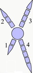 <p>A toe arrangement in which 2 toes point forward and 2 point backward; makes it easier to manipulate and hold food. Found in most owls, parrots, and cuckoos.</p>