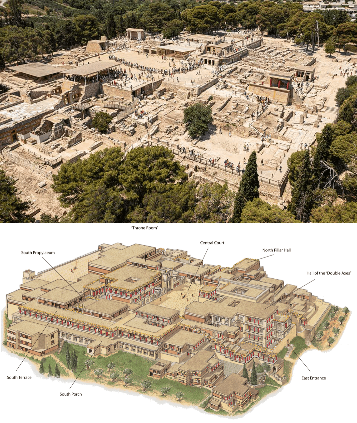 term image