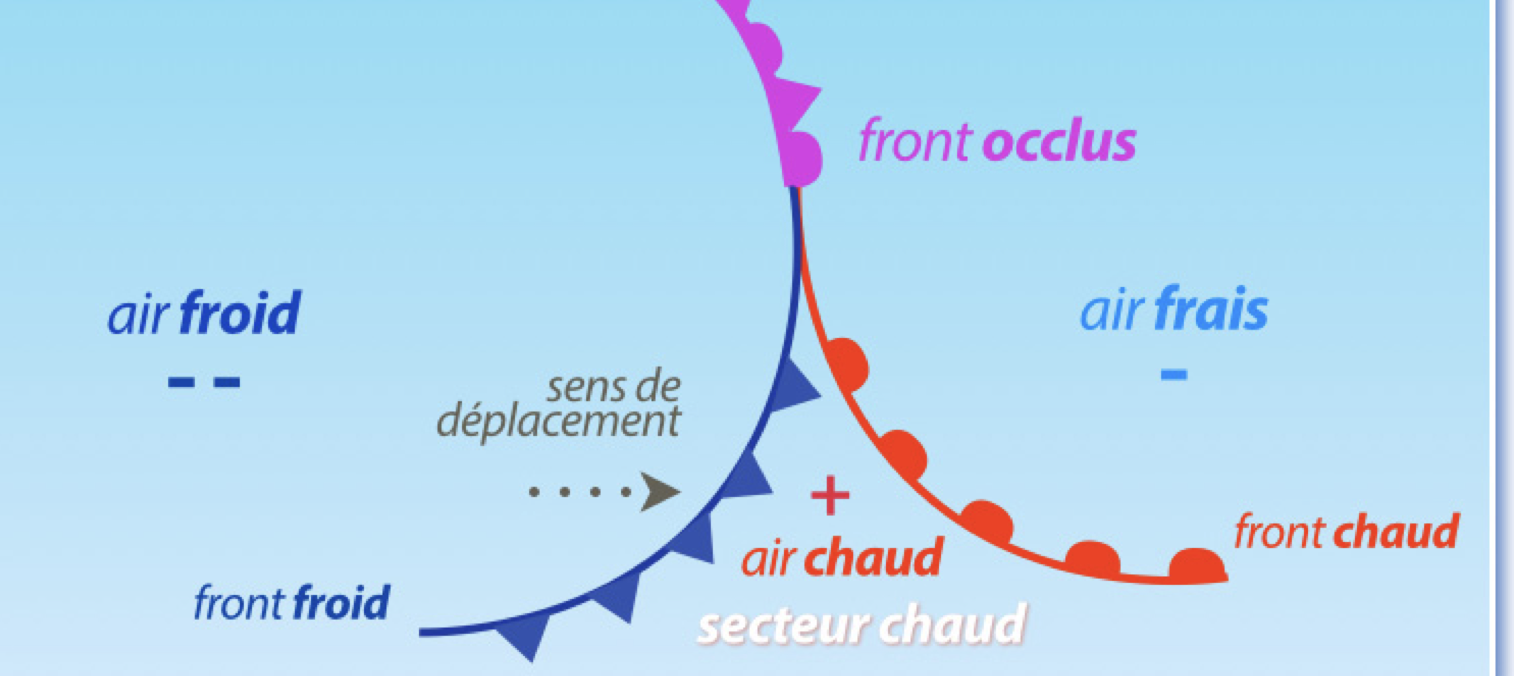<p>Ligne rose avec des ronds et des triangles au-dessus (car il naît lorsque le front froid rattrape le front chaud qui le précède et qui éjecte le secteur chaud en altitude)</p>