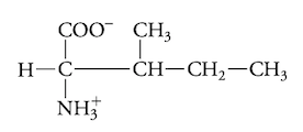 <p>hydrophobic aa </p>