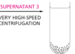 <p>What fractionates at very high-speed centrifugation?</p>