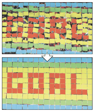 <p>a … could emerge in the embryo by cells receiving a … … through a set of … … unique to that … (write out the whole sentance)</p>