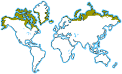 <p>Location: high-latitude regions near the North Pole and high-altitude mountain tops around the world</p><p>Precipitation = little precipitation 6-10 inches annually (cold desert) </p><p>Temp = Coldest and harshest biome, temps ranging from 54--30 degrees F</p><p>Soil - very slow decomposition and soil formation, low organic matter in soil, permafrost (permanently frozen soil)</p>