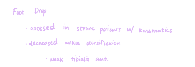 <ol><li><p>dorsiflexion, stroke patients </p></li><li><p>Tibialis anterior </p></li><li><p>kinematics </p></li></ol><p></p>