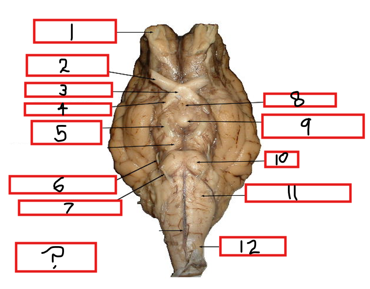 <p>7?</p>