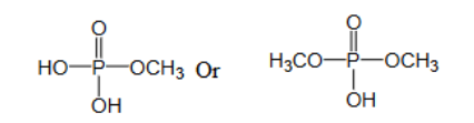 <p>RO-PO2-OR<br>-these are the functional groups that hold a chain nucleic acids in a molecule of RNA or DNA together </p><p>-the phosphorous is in the phosphate form here </p><p>-the O atoms can do resonance </p>