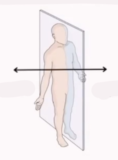 <p>directional terms </p>