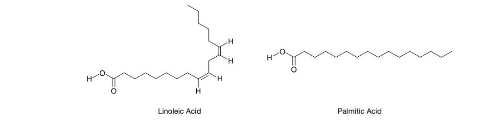 <p>The molecular structures of linoleic acid and palmitic acid, two naturally occurring substances, are shown in the figure.</p><p>Based on the molecular structures shown in the figure, which molecule is likely to be solid at room temperature?</p><p>A) Linoleic acid, because the absence of carbon-carbon double bonds allows the molecules to pack closely together.</p><p>B) Linoleic acid, because the presence of carbon-carbon double bonds prevents the molecules from packing closely together.</p><p>C) Palmitic acid, because the absence of carbon-carbon double bonds allows the molecules to pack closely together.</p><p>D) Palmitic acid, because the presence of carbon-carbon double bonds prevents the molecules from packing closely together.</p>