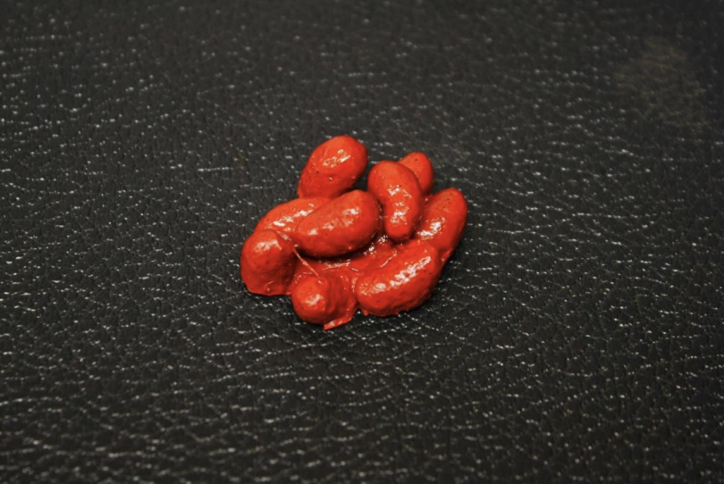 <p>Identify this scat</p>