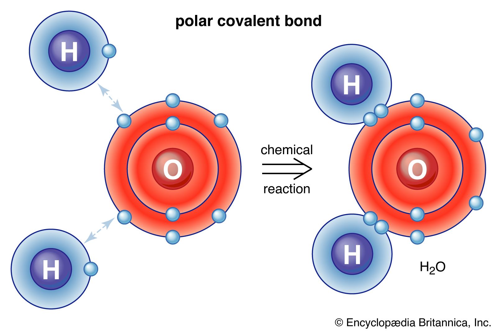 <p>Covalent Description and Example? </p>