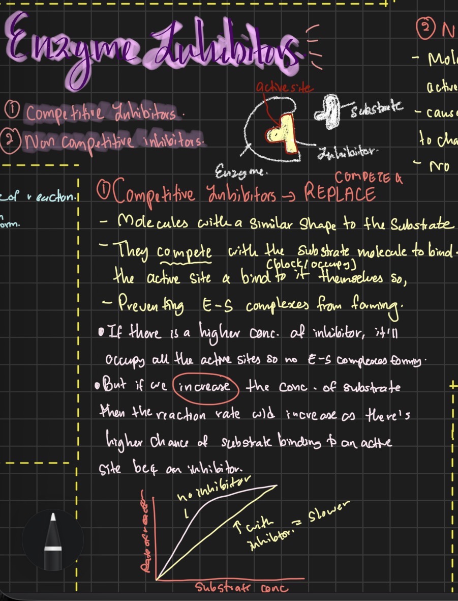 <p>they are molecules with a similar shape to the substartes so they compete with the substrate to bibd to the active site, reducing the amount of e-z complxes able o be fomed </p><p>if we increase the substrate concentration theres a higher chnace itll bind to the actiive site faster than the inhibitors </p><p></p>