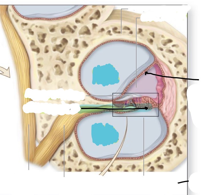 <p>what is this </p>