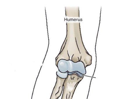 <p>Define joint </p>