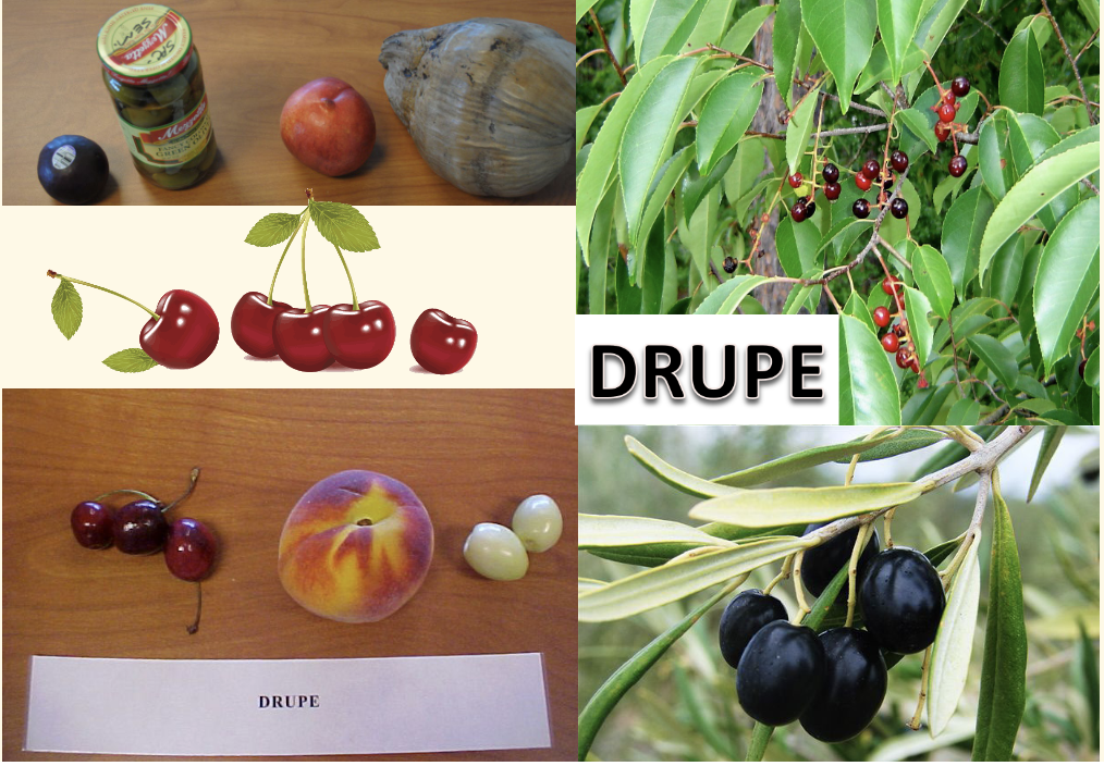 <p>What is this?</p>