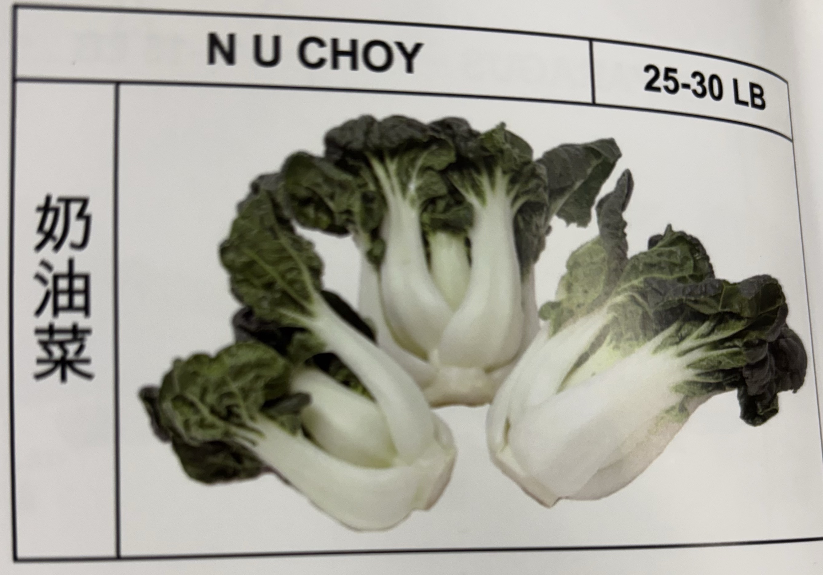 <p>N U CHOY</p>