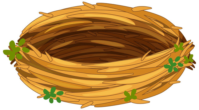 <p>A bird’s nest</p>