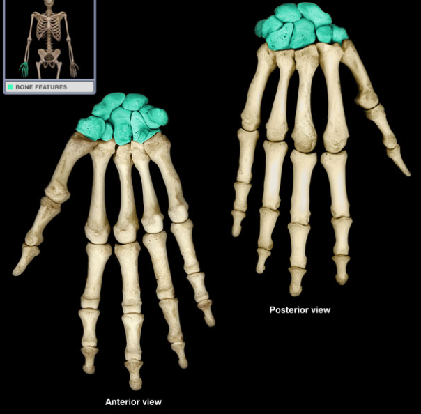 <p>What is the name of this structure?</p>