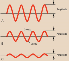 <p>Which has highest amplitude?</p>