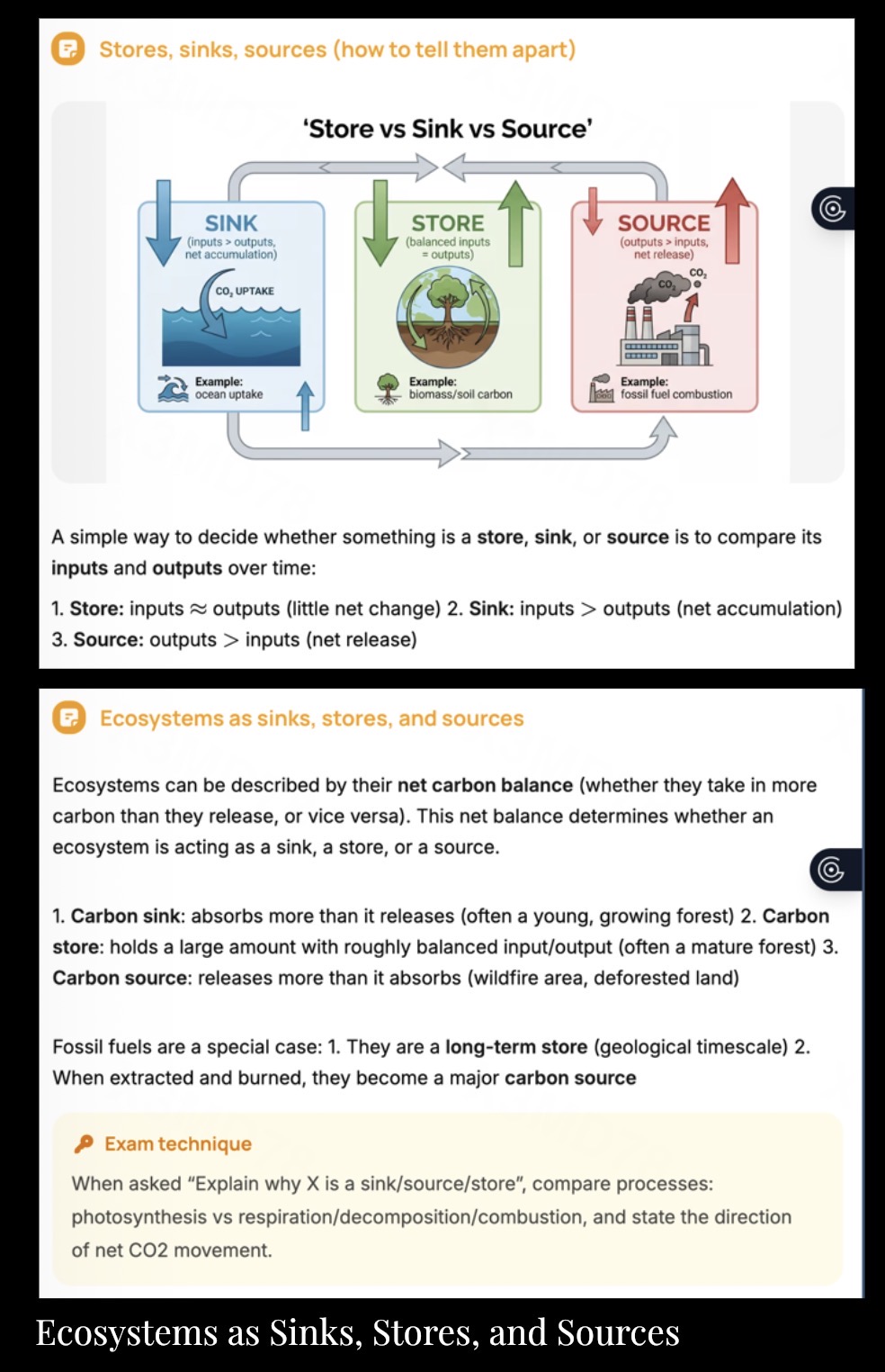 knowt flashcard image