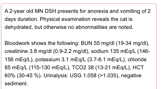 <p>Hyperchloremic Metabolic alkalosis</p><ul><li><p>classic finding in upper G.I obstruction</p></li><li><p>Must rule out first especially in young cats</p></li></ul><p></p>