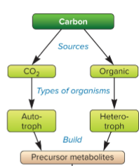 <p>carbon source is organic (glucose) and is consumed and made by another organism</p>