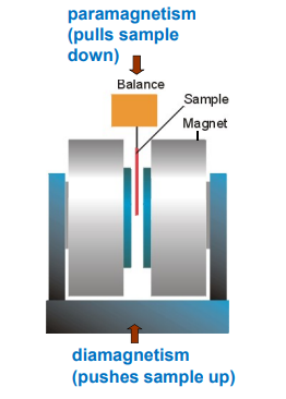 <p><span style="background-color: inherit; line-height: 20.7px; color: windowtext;">The weighing's are carried out in a Gouy balance:</span><span style="line-height: 20.7px; color: windowtext;">&nbsp;</span></p><ul><li><p class="Paragraph SCXO258789587 BCX0" style="text-align: left;"><span style="background-color: inherit; line-height: 20.7px; color: windowtext;">The magnet is an electromagnet</span><span style="line-height: 20.7px; color: windowtext;">&nbsp;</span></p></li><li><p class="Paragraph SCXO258789587 BCX0" style="text-align: left;"><span style="background-color: inherit; line-height: 20.7px; color: windowtext;">Calibrations are carried out against samples of precisely known composition corrected for diamagnetism</span><span style="line-height: 20.7px; color: windowtext;">&nbsp;</span></p></li></ul><p></p>