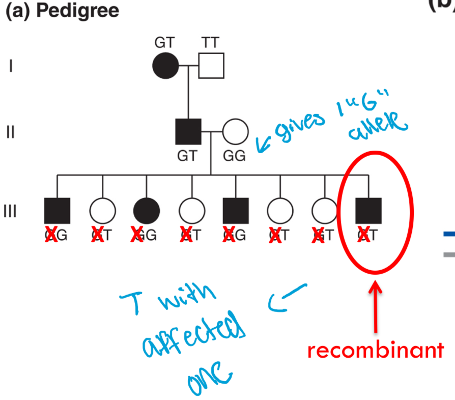 <p>what does these results reflect?</p>