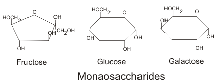 <p>classified by the number of carbon atoms they contain</p><p><span><strong>- Pentoses</strong> have five carbon atoms such as ribose, whereas <strong>hexoses</strong> have six carbon atoms such as glucose, galactose, and fructose.</span></p>