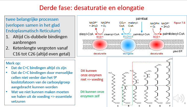 <p>C26 (altijd een even getal)</p>