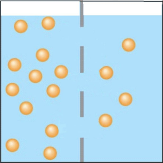 <p><span>If only osmosis can occur in the pictured situation, what will move across the membrane and which way will it go?</span></p>