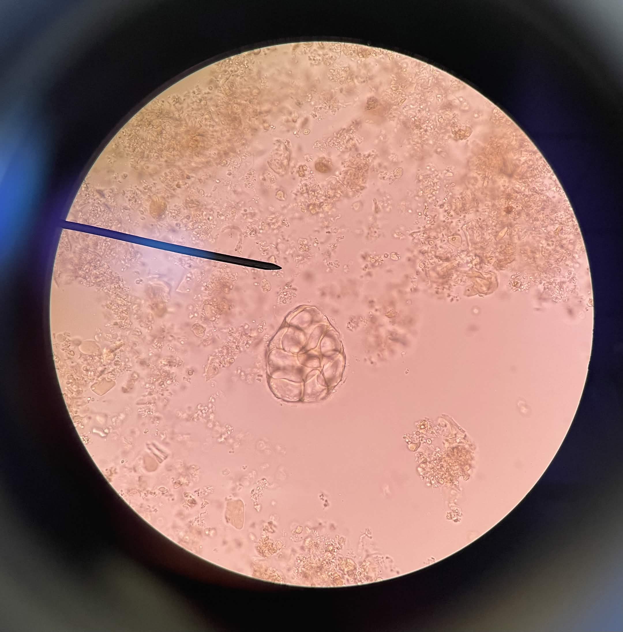 <p>What is this?</p>