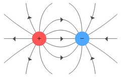 <p>Lines representing an electric field, that point in the direction in which a positive charge would experience an electric force. The closer they are, the stronger the field.</p>