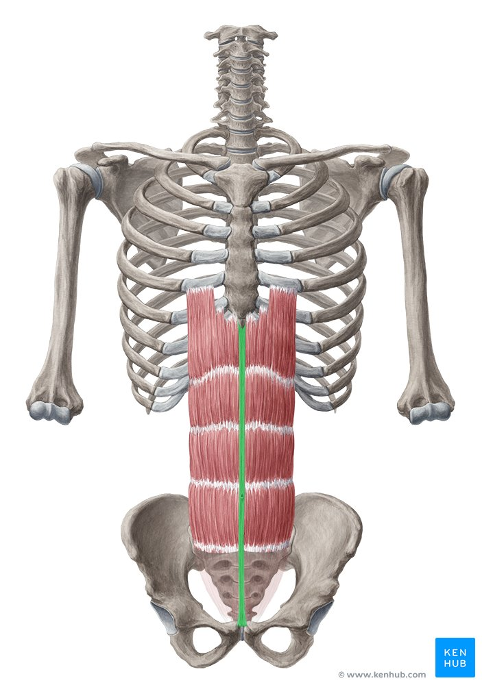 <p>structure</p>