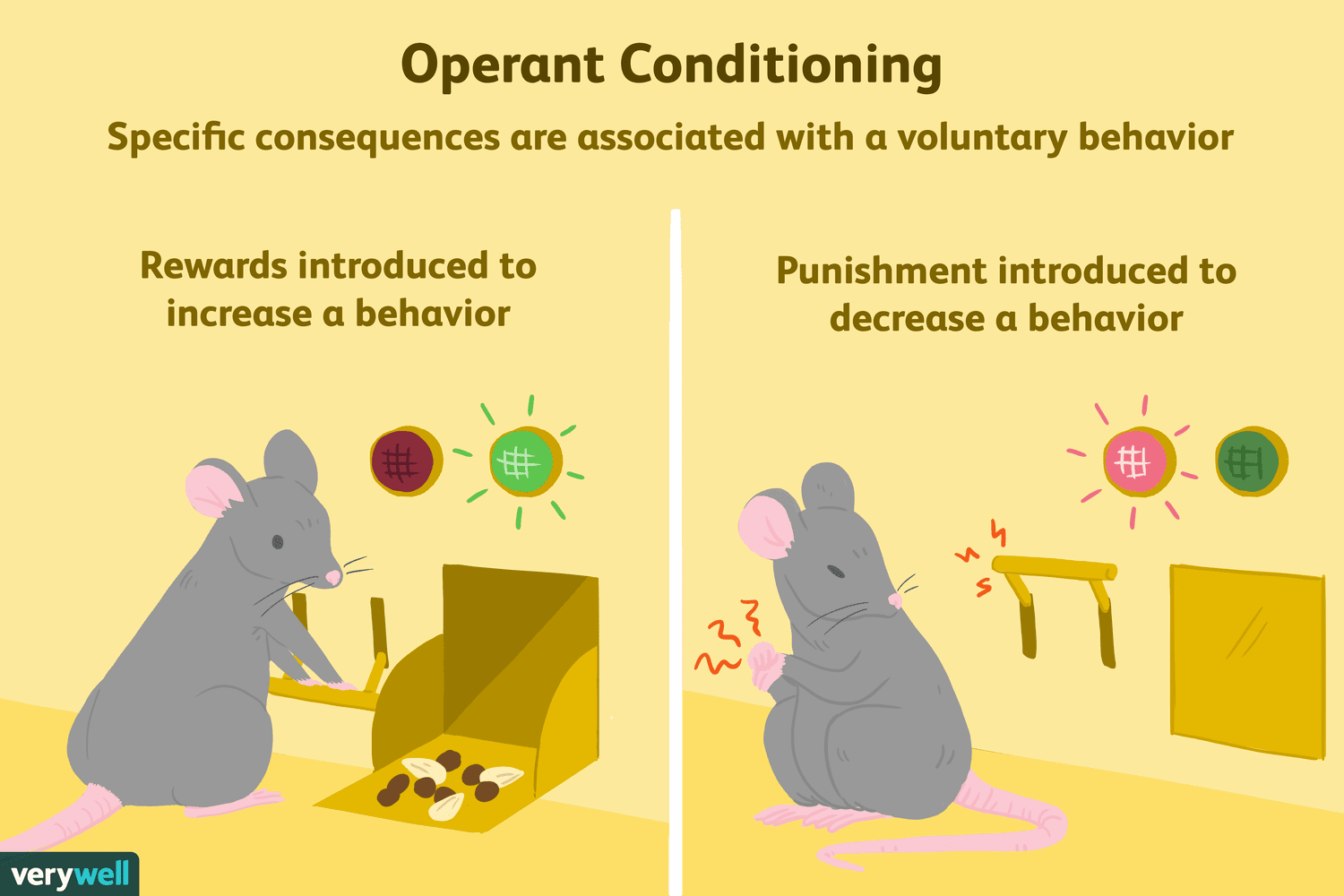 <p>learning process that changes behavior through punishment and reinforcement </p>