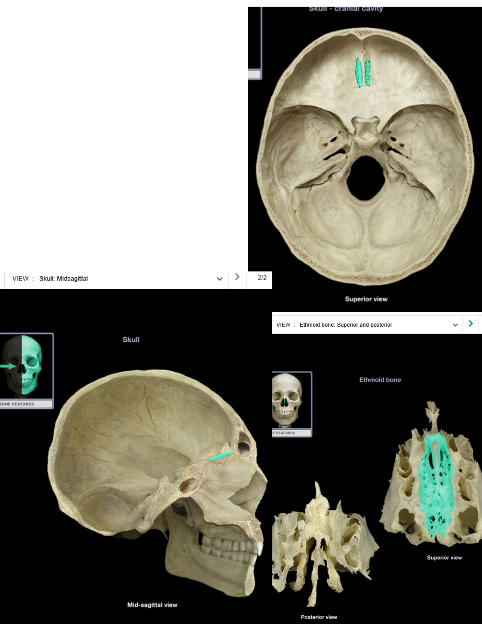 knowt flashcard image