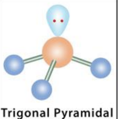 <p>trigonal pyramidal, <109</p>