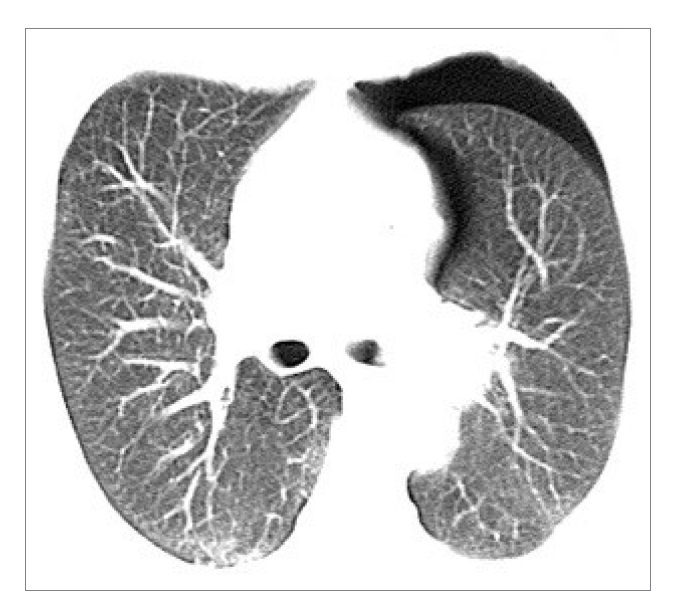 <p>What is this?</p>